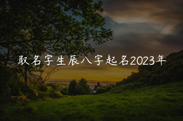 取名字生辰八字起名2023年，取名字生辰八字起名2023年龄计算