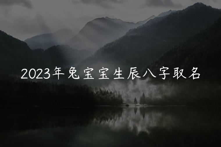 2023年兔宝宝生辰八字取名，2023兔宝宝生辰八字取名