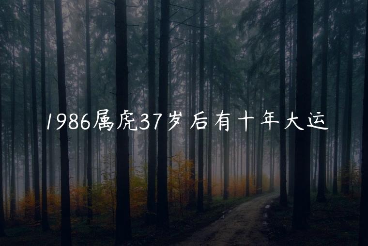 1986属虎37岁后有十年大运，1986属虎在2023以后十年大运