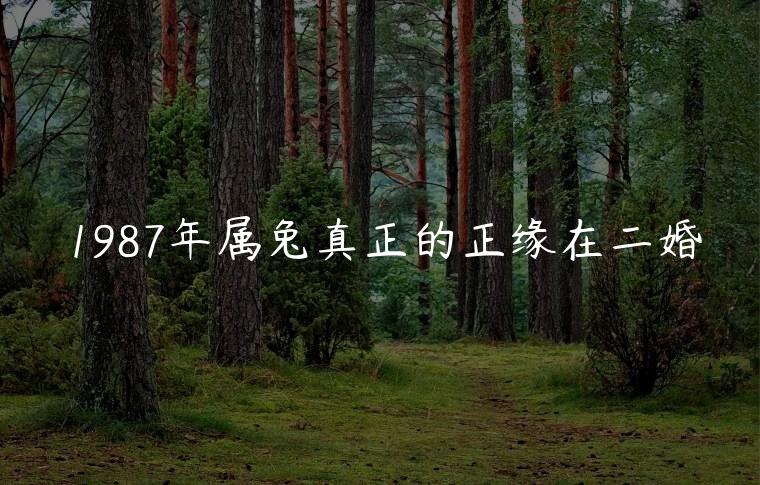 1987年属兔真正的正缘在二婚，1987年属兔真正的正缘