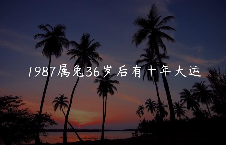 1987属兔36岁后有十年大运，1987属兔在2023以后十年大运如何