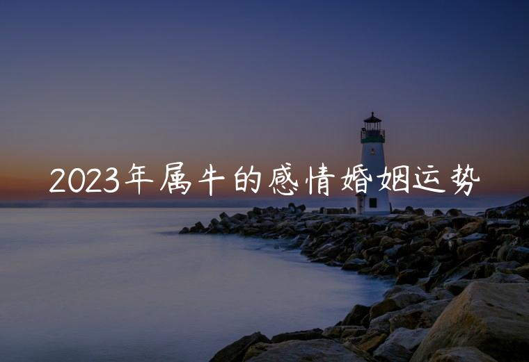 2023年属牛的感情婚姻运势，2023年属牛的感情婚姻运势如何