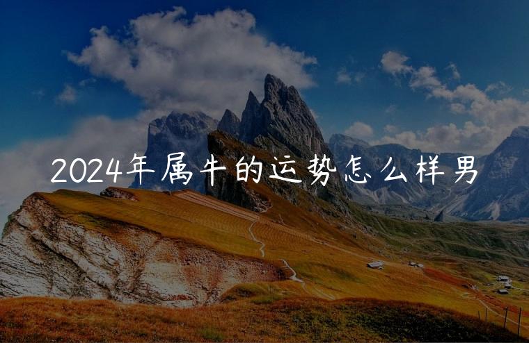 2024年属牛的运势怎么样男，2024年属牛的男士运势怎么样