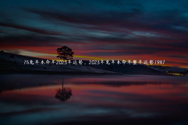 75兔年本命年2023年运势，2023年兔年本命年整年运势1987