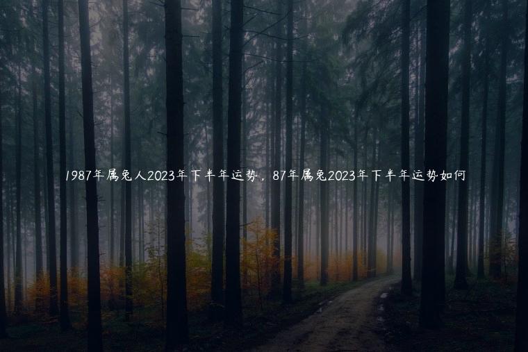1987年属兔人2023年下半年运势，87年属兔2023年下半年运势如何