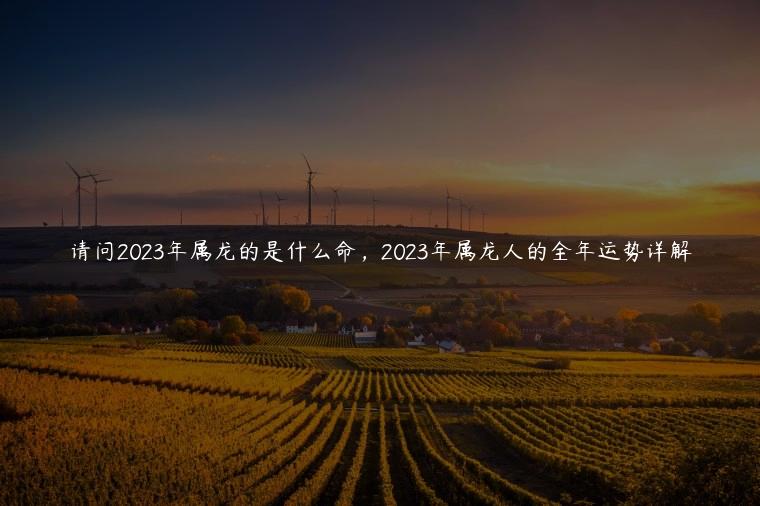 请问2023年属龙的是什么命，2023年属龙人的全年运势详解
