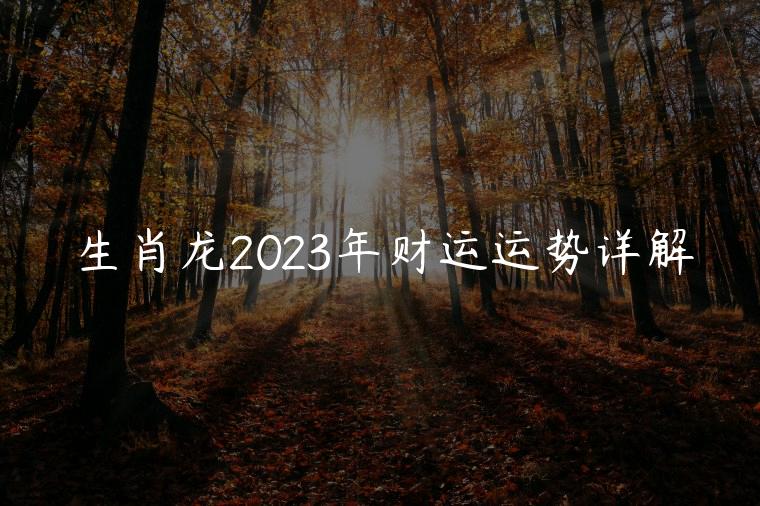 生肖龙2023年财运运势详解，生肖龙2023年运程运势