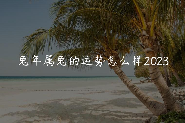 兔年属兔的运势怎么样2023，2023兔年属兔的运气怎么样