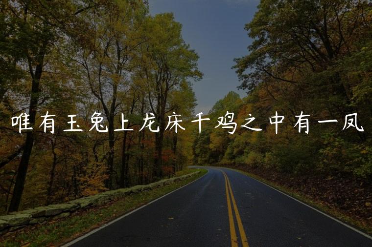 唯有玉兔上龙床千鸡之中有一凤，唯有玉兔上龙床是什么意思