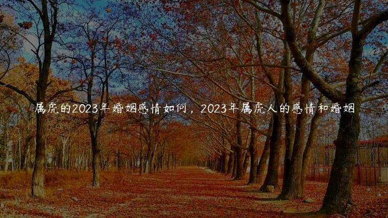 属虎的2023年婚姻感情如何，2023年属虎人的感情和婚姻
