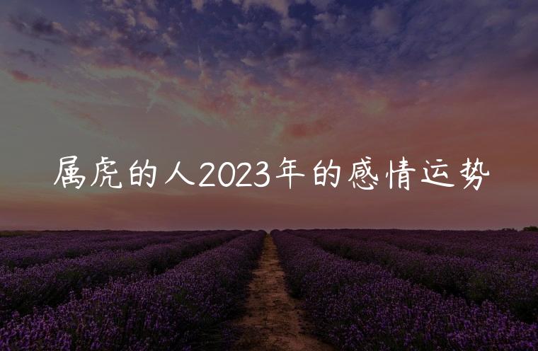 属虎的人2023年的感情运势，属虎的人2023年的感情运势及运程