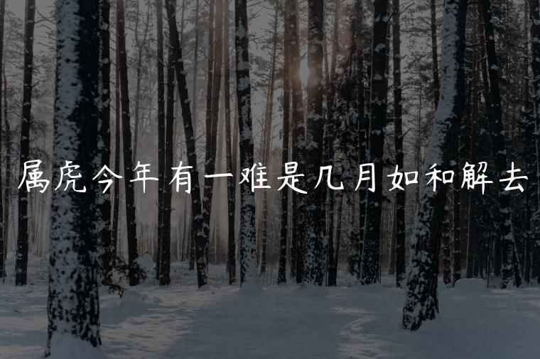 属虎今年有一难是几月如和解去，今年属虎的人运势最差的是几月