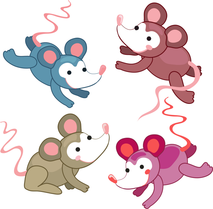 老鼠和什么属相最配对，属鼠和什么属相最配婚姻最合适